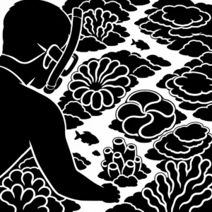 Snorkeller drifting above a shallow monochrome coral reef.