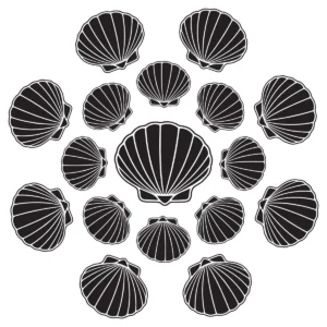 Scallop shells arranged in a balanced circular coastal-inspired pattern.