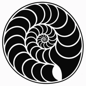 Bold nautilus spiral with clean repeating chambers.