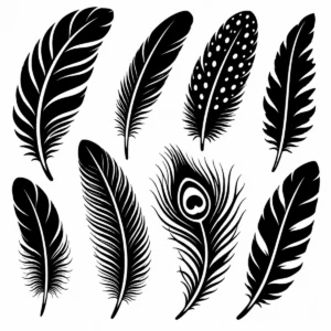Varied feather collection arranged across the page with different markings and forms.