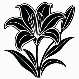 Elegant monochrome lily with broad petals and sweeping leaves.