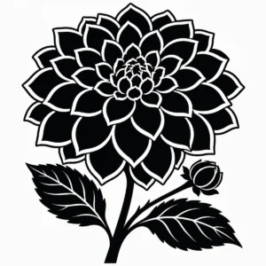Monochrome dahlia botanical study with structured petals, leaves and a small bud.