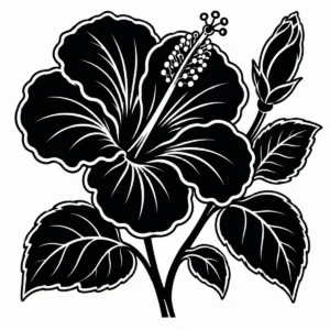 Anemone botanical study with a large bloom, smaller flower, bud and flowing leaves.