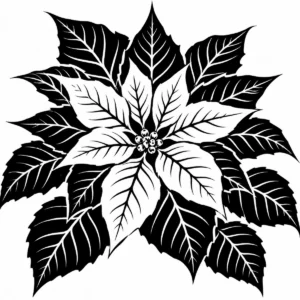 Large monochrome poinsettia study with broad layered petals and strong leaves.