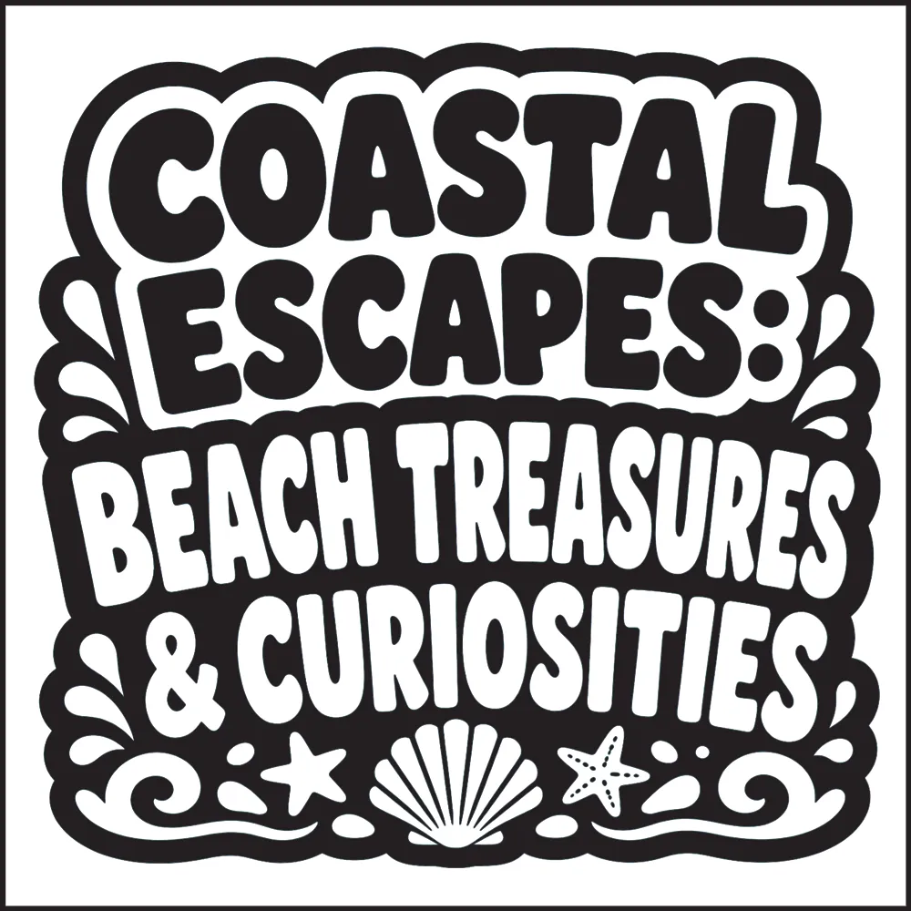 A coloured-in image of some beach treasures and curiosities