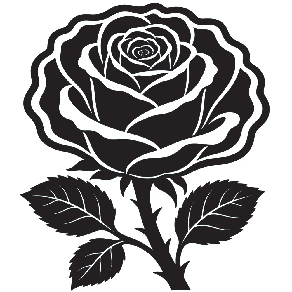 A coloured-in version image of a rose botanical illustration